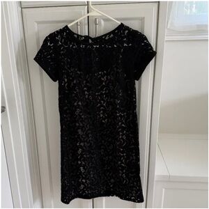 LOFT Black Lace Mini Dress